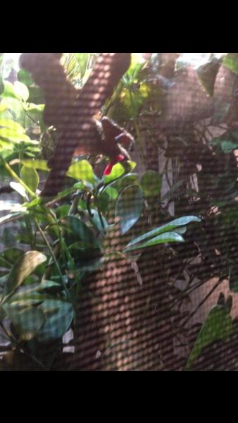 The first time I seen his man parts. I thought his guts were falling out LOL