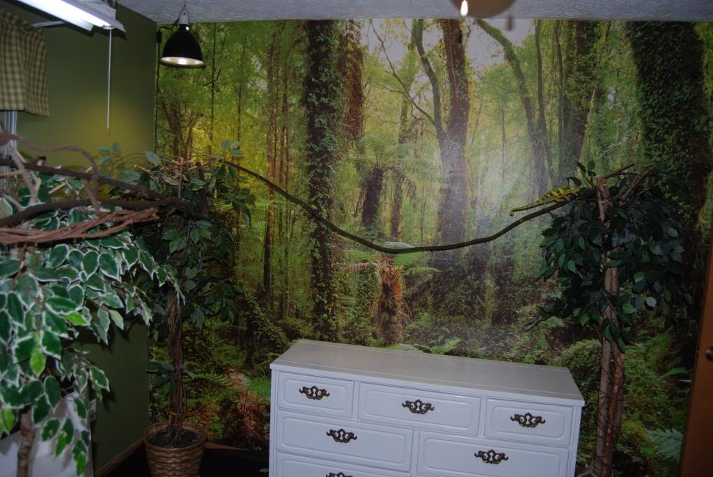 The Jungle Room