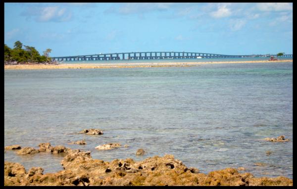 The Keys 7 mi bridge