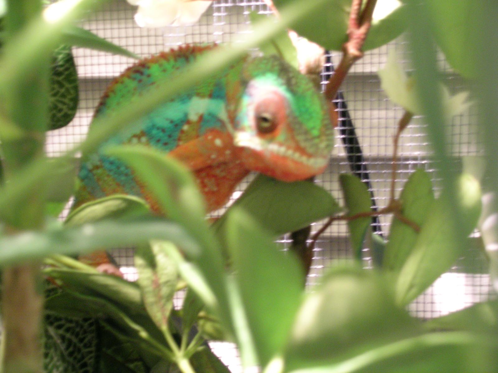 The many shades of Blue