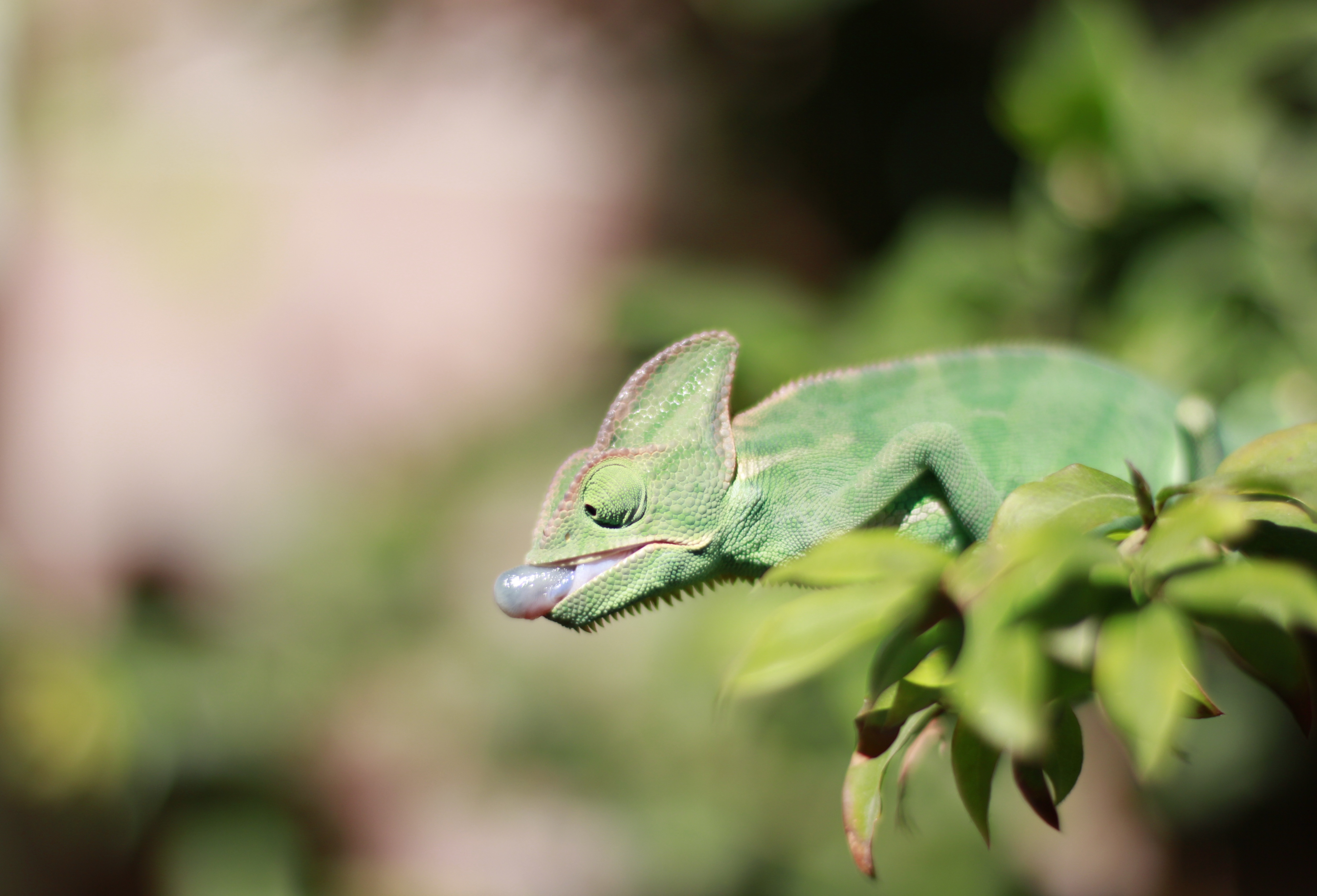 The Moment We Hold Our Breath