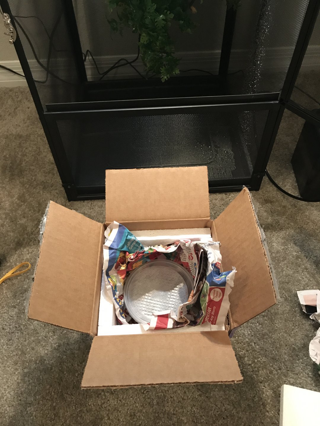 The new guy arrived today!