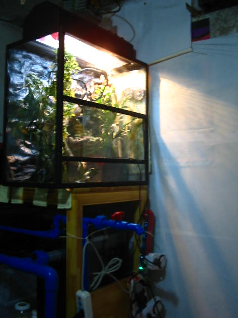 the place where place the home of the female with black diamond