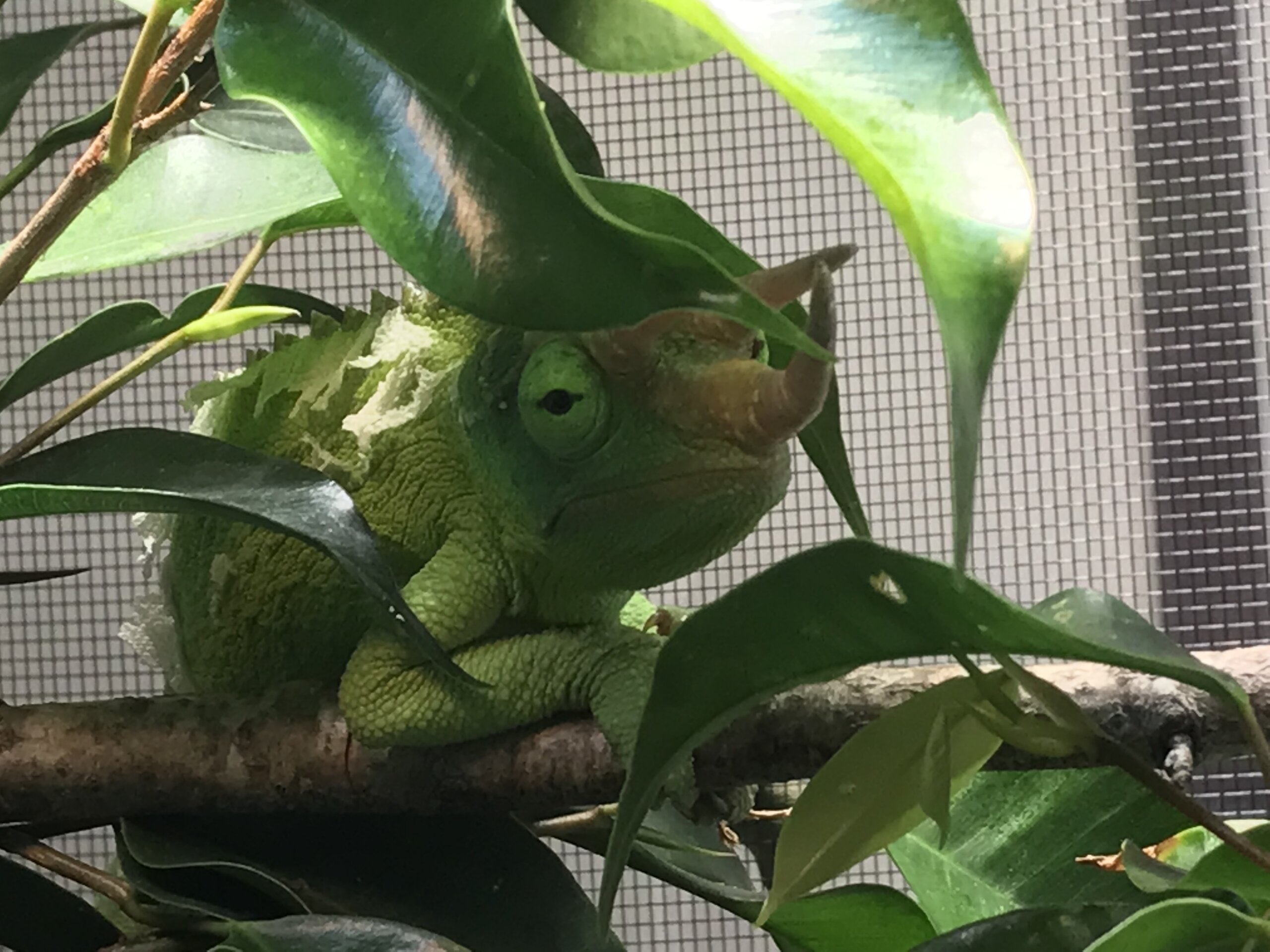 The quest to find humans has begun!