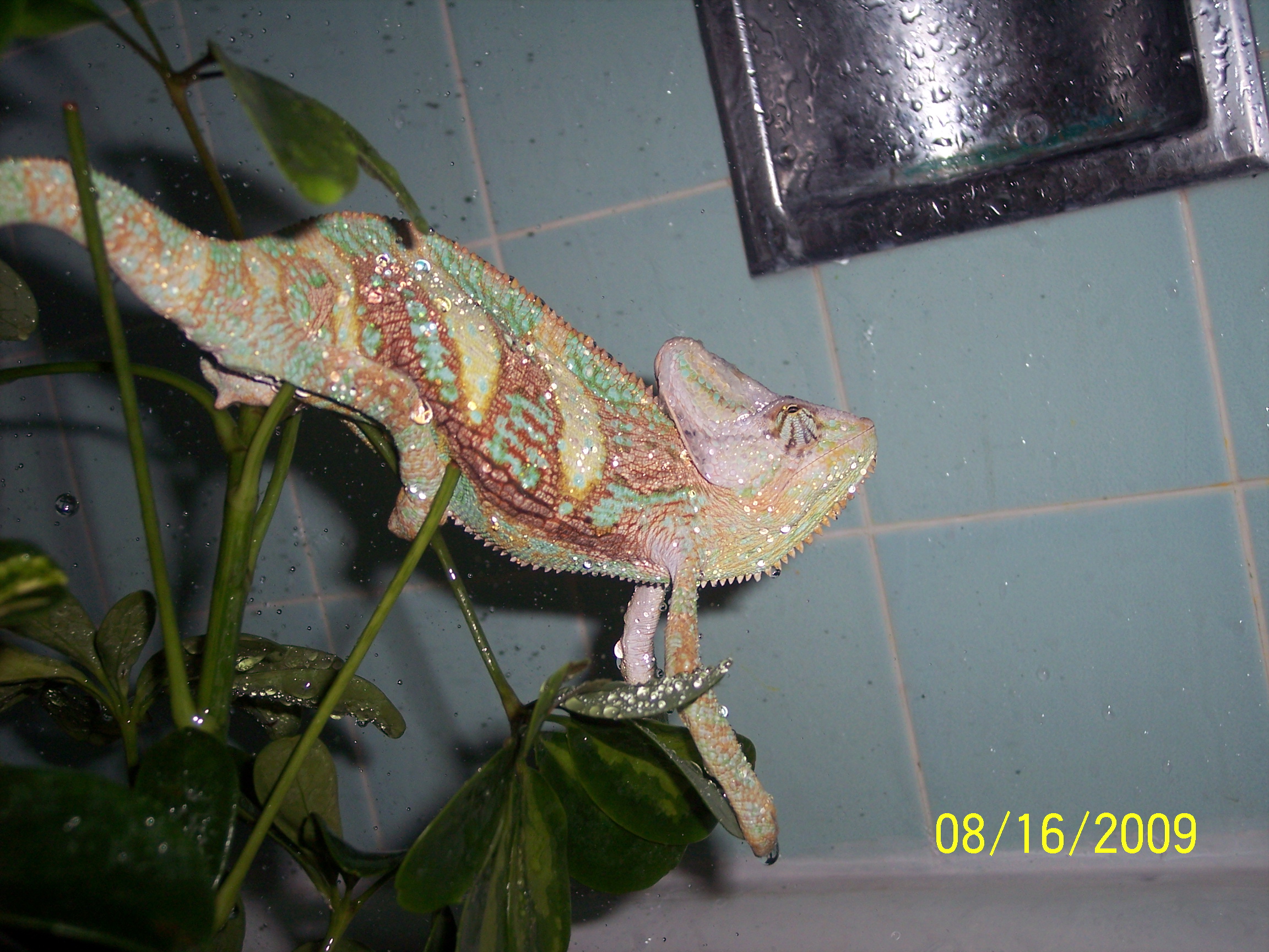 The Rain Drops Keep Falling On My Head