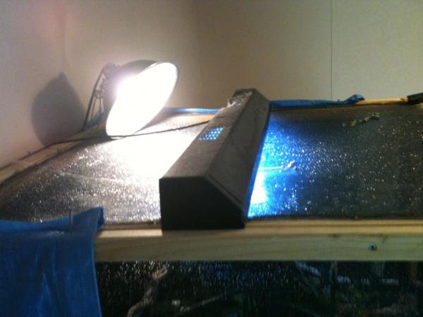 The top / Lighting system, 60 watt heat light and a 2ft UVB light
