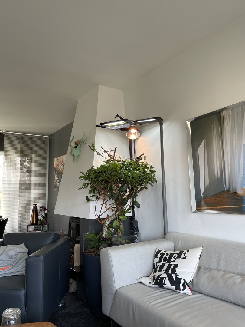 ~The tree of Happiness~