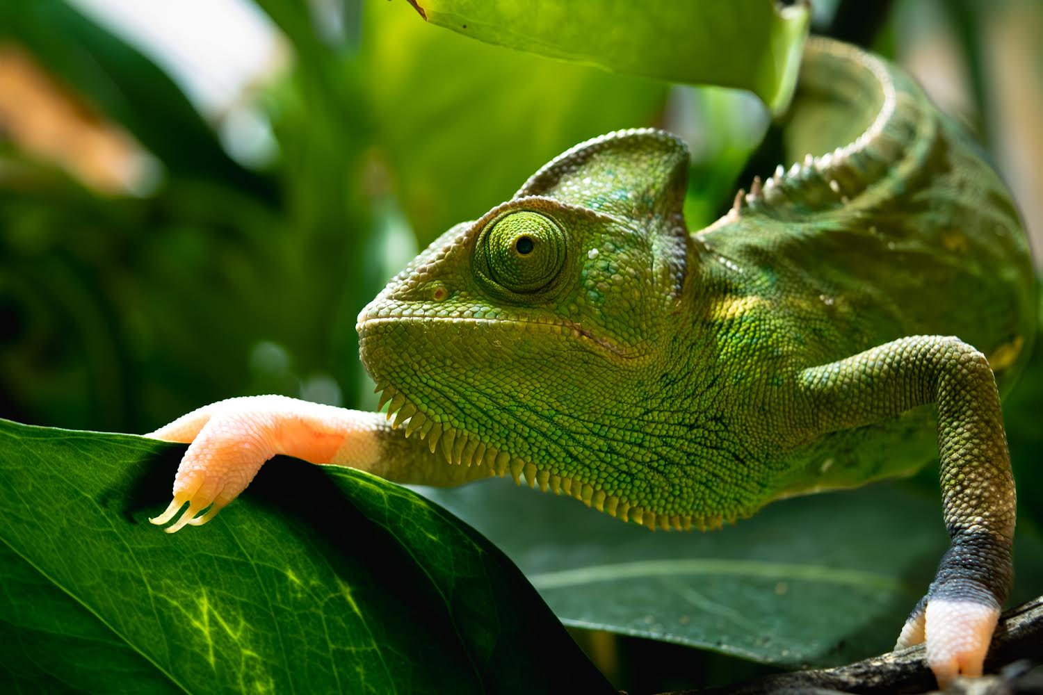 The troublemaker of my world❤️