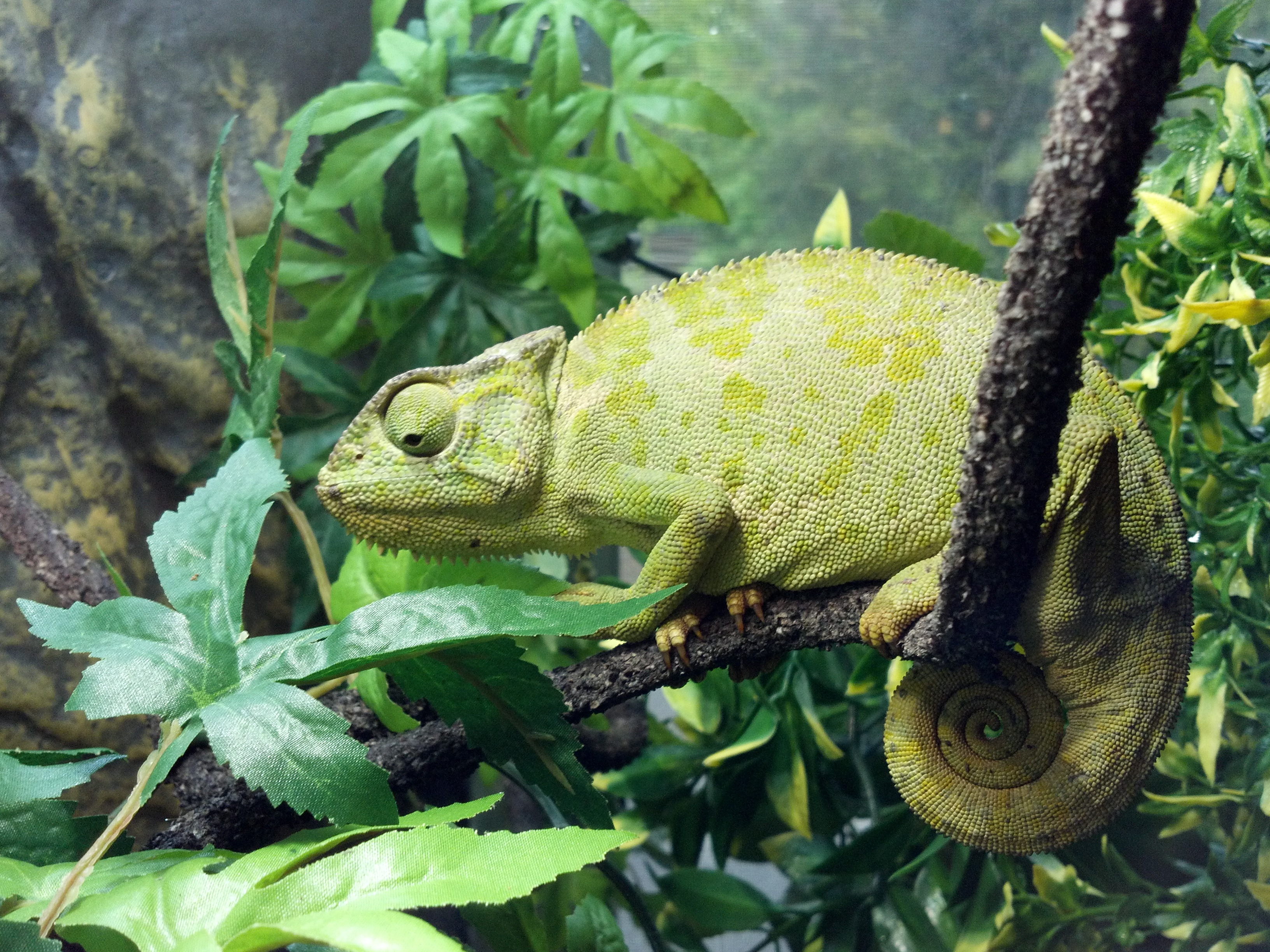 The Unbearable Lightness Of Being