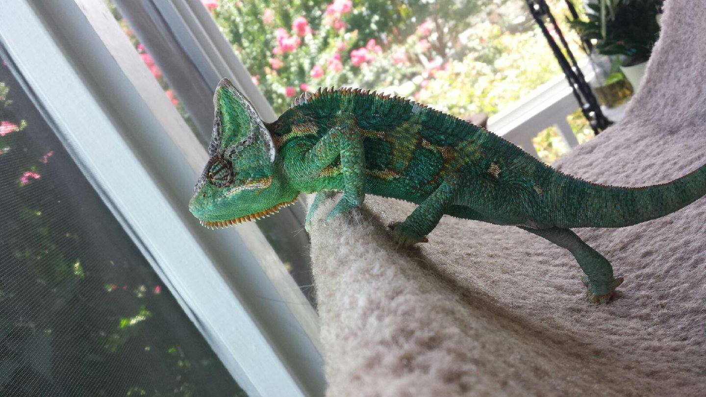 THE VIEW IS GREAT FROM HERE!