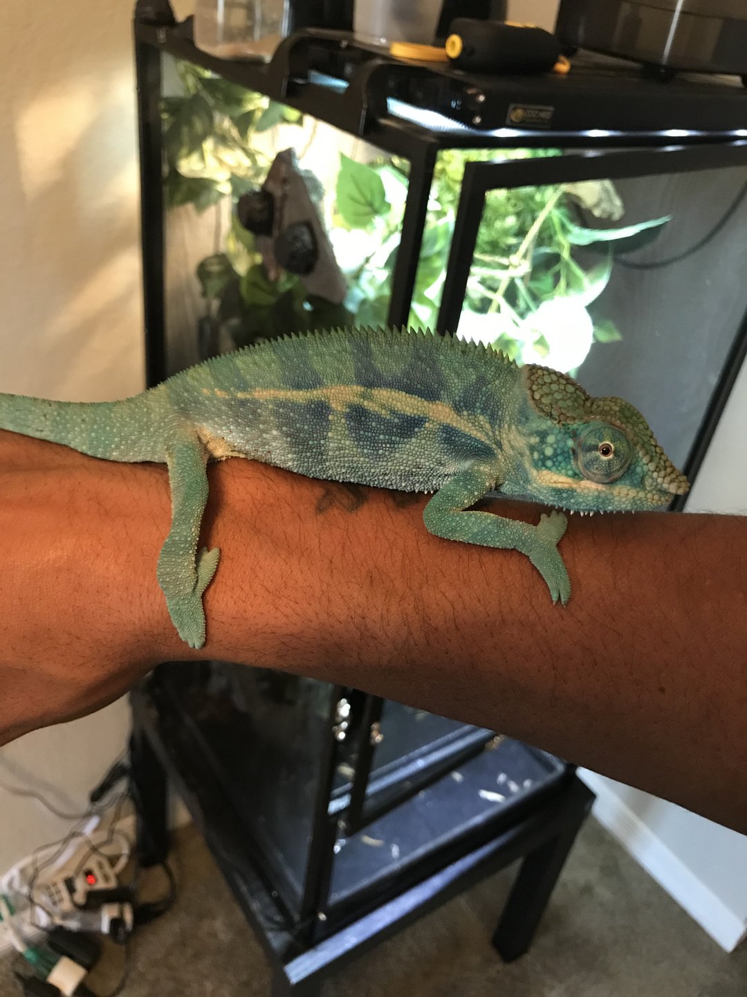 They grow up so fast!