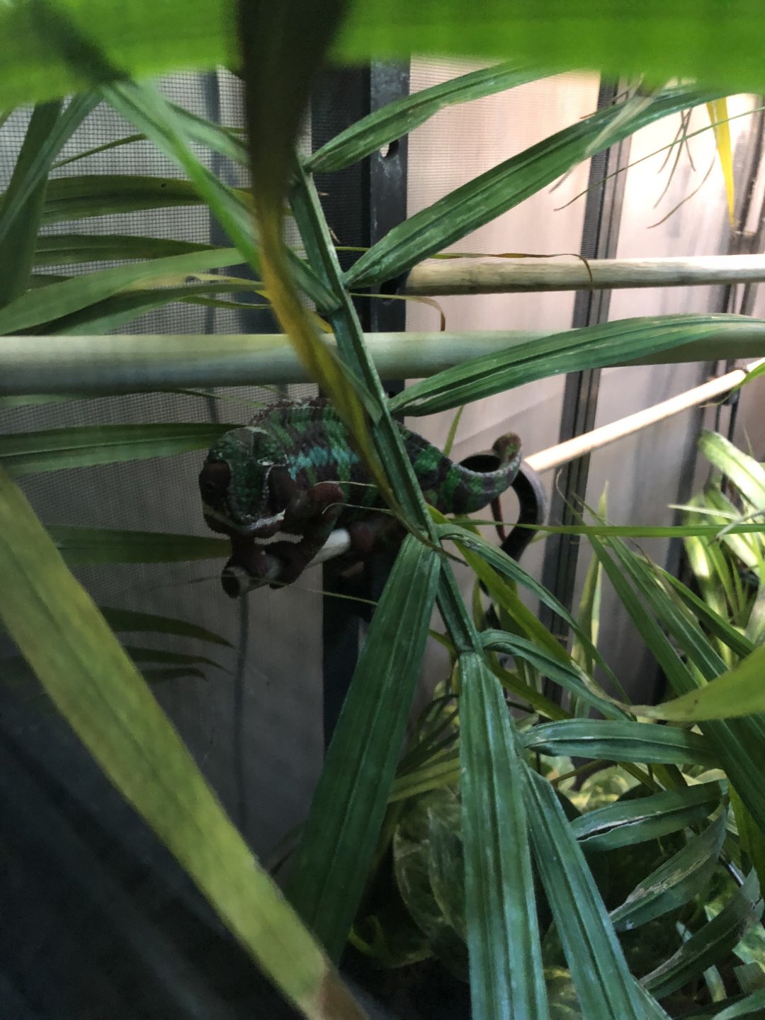 They stuck me in here after a year