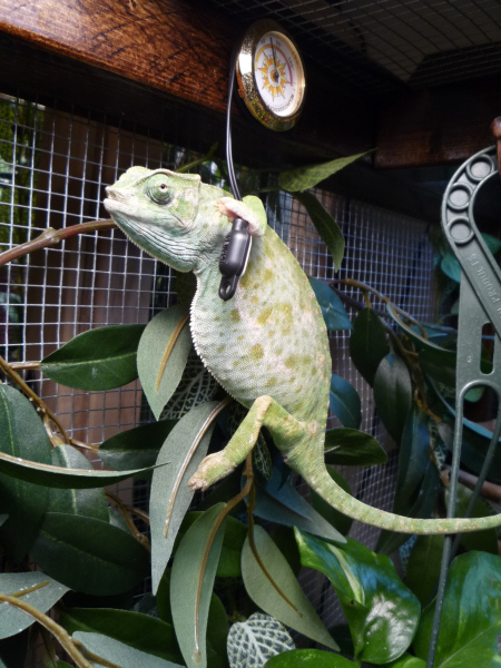 "This is good because this is where I like to bask."