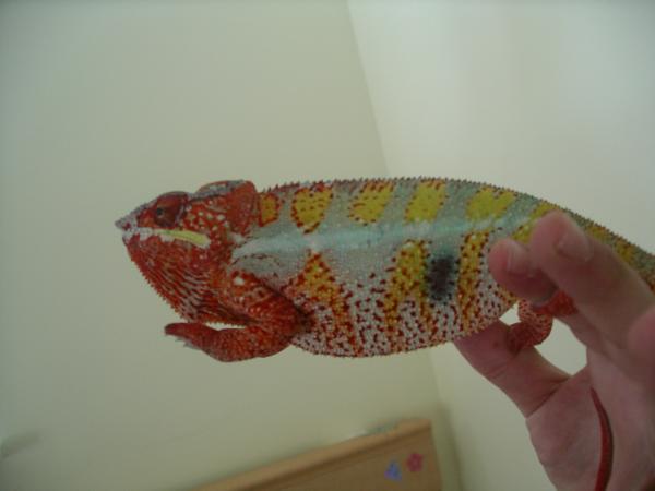 This is him when he first came.