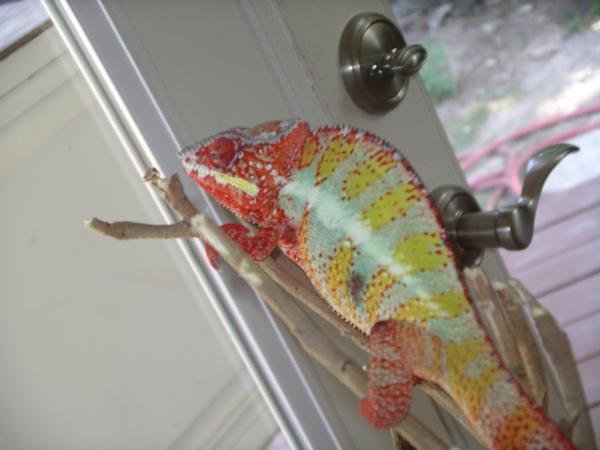 This is him when he first came