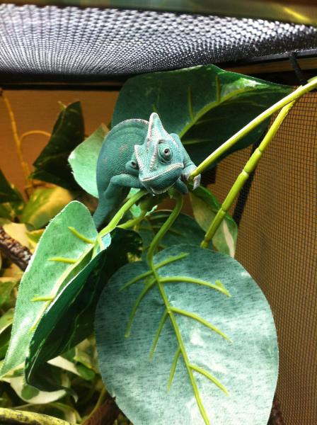 this is his good side