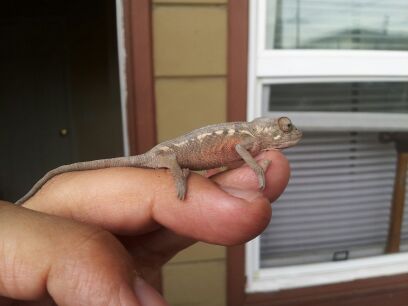 This Is How She Looked When I First  Her