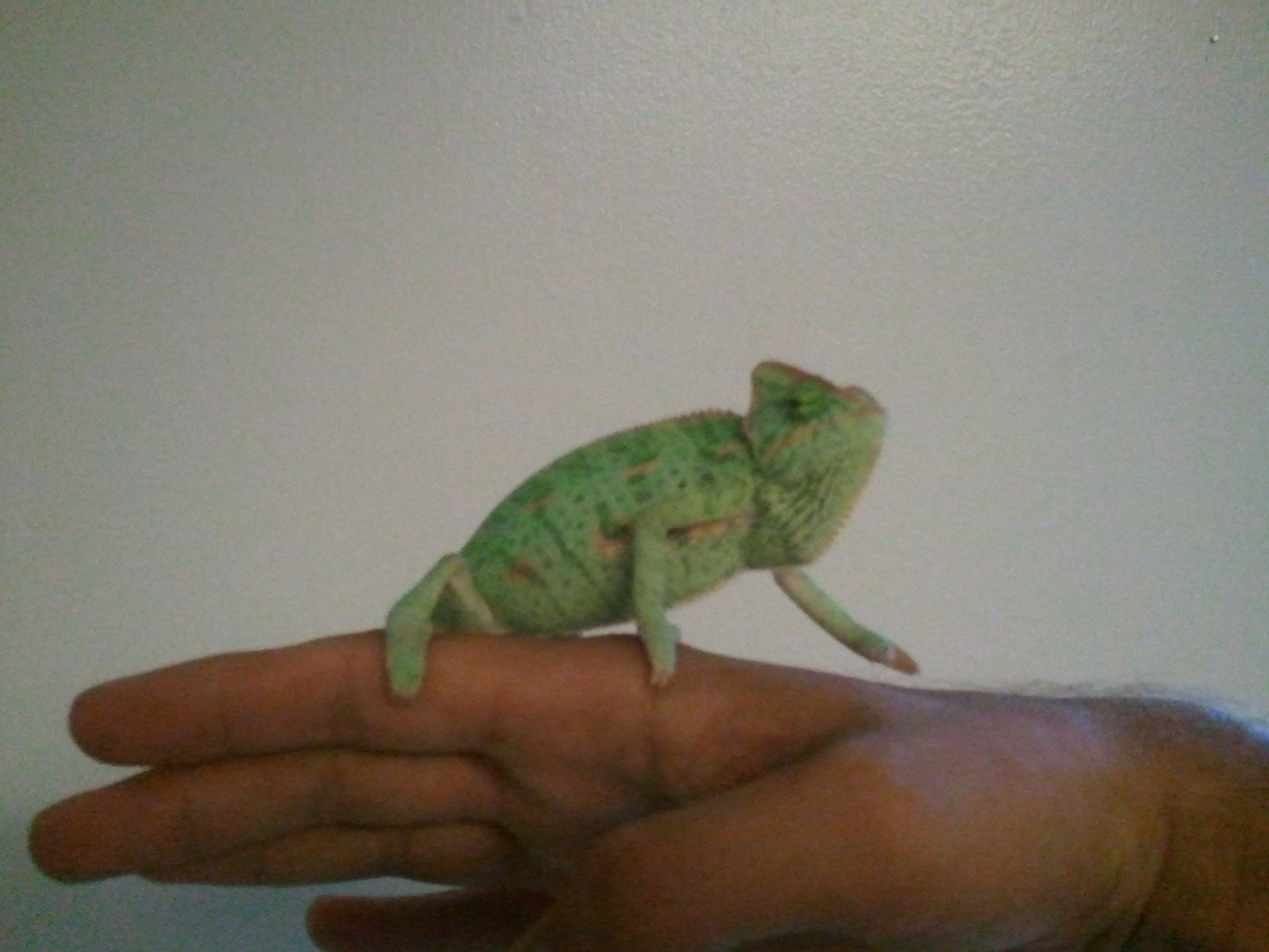 This Is My Charlie.