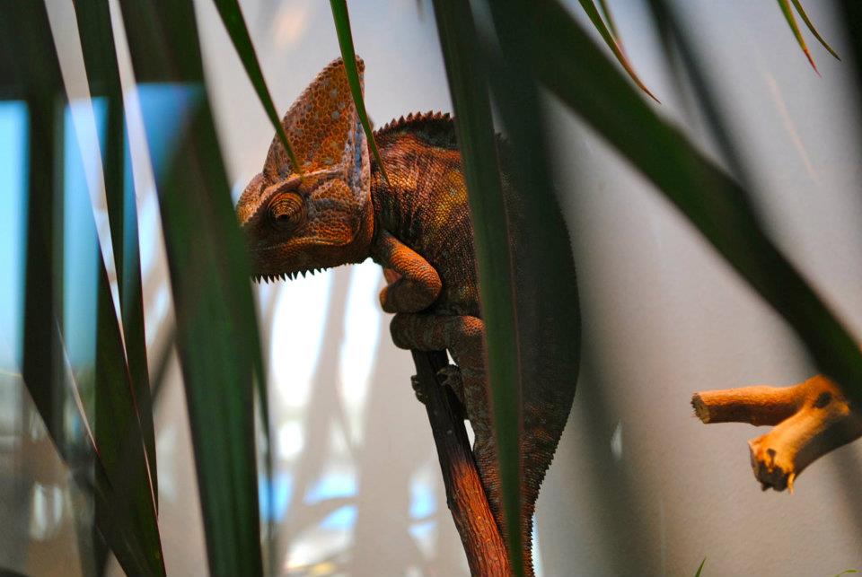 This Is My House....