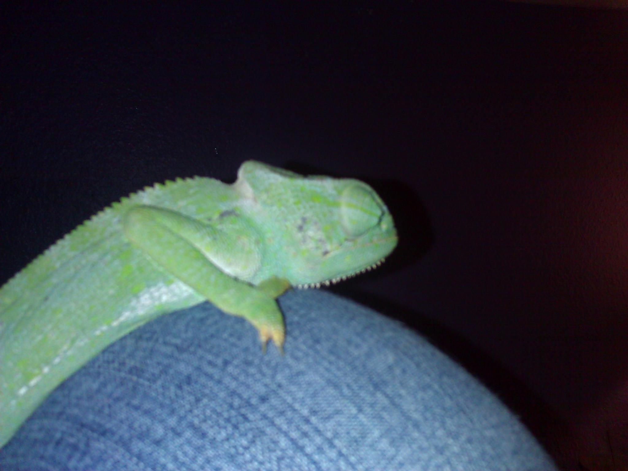 This Is Our Boy Juju