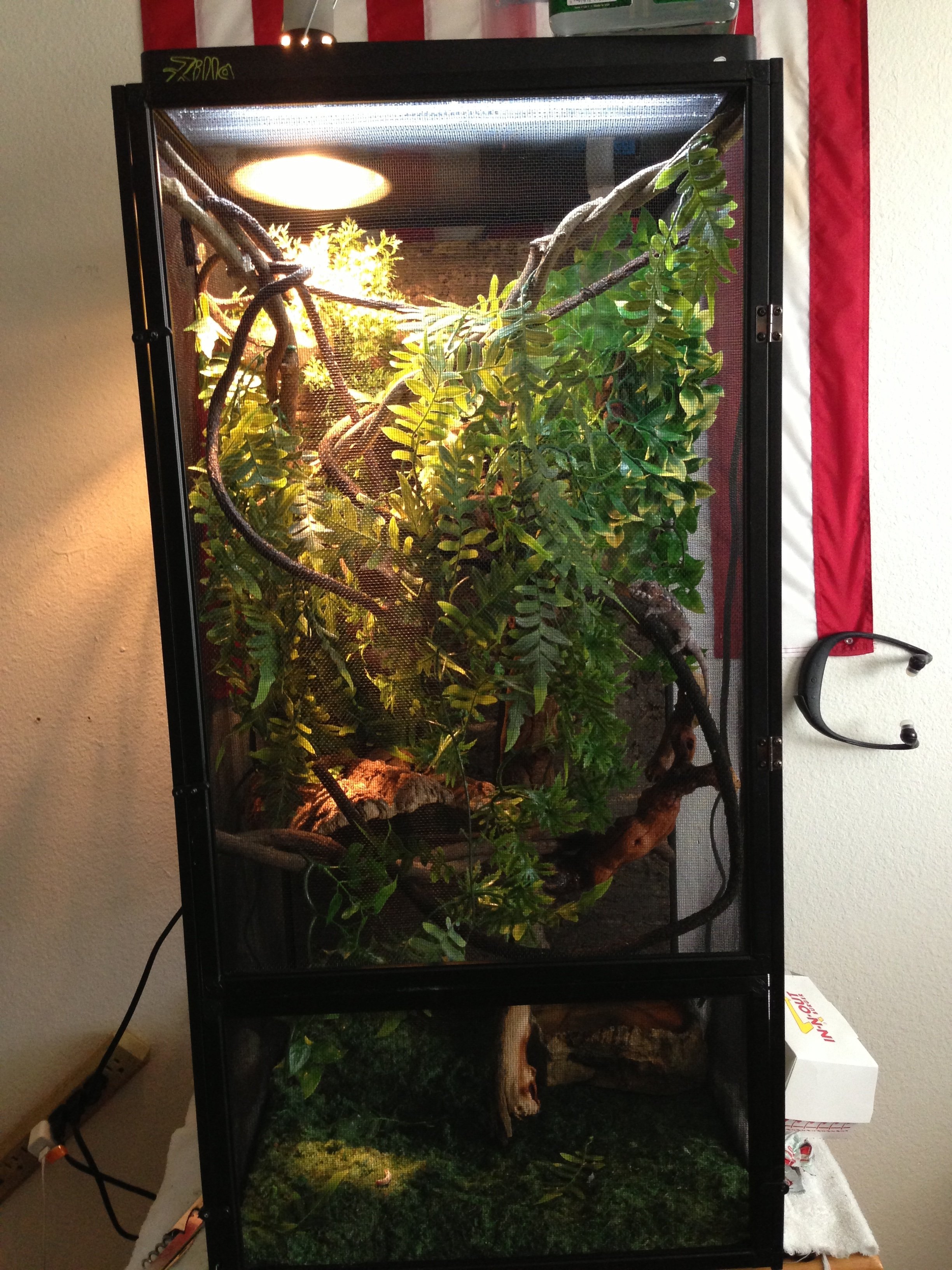This Is The Cage .