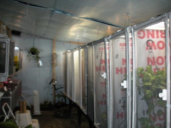 This started as a greenhouse it is now the Chammy Room 8' x 20' and now I need to add on