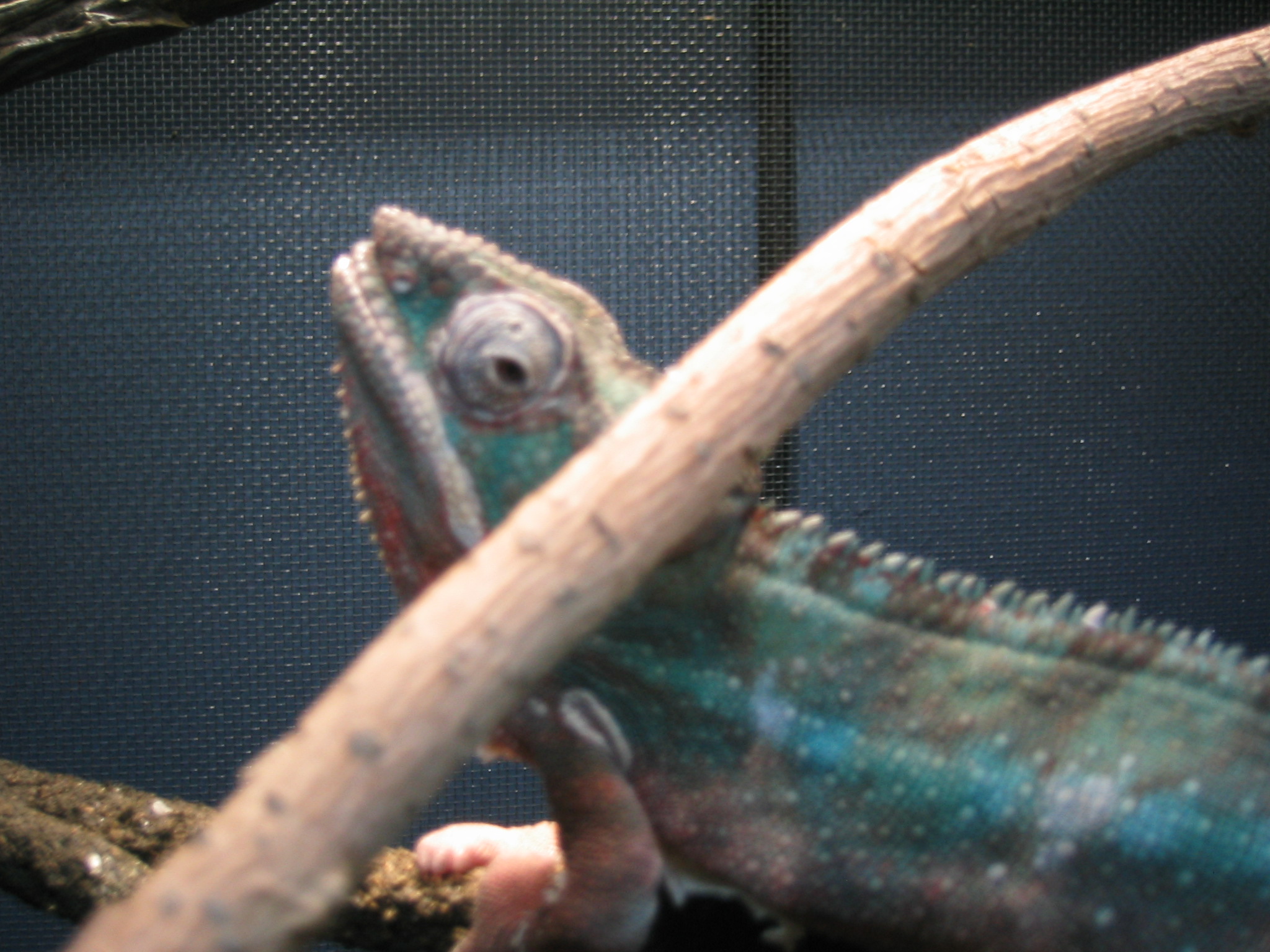 tiffsschoolandfishing083