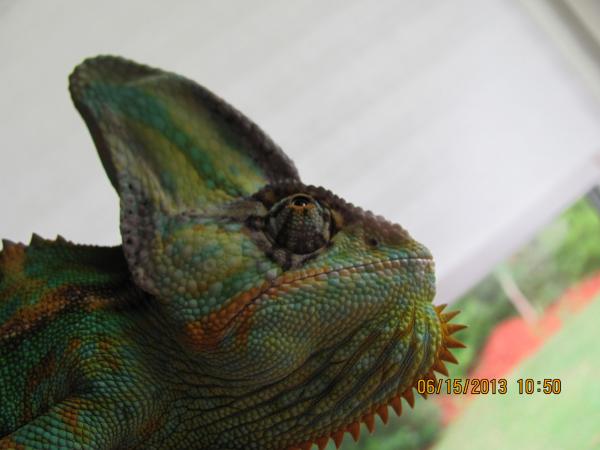 Time for my close-up!