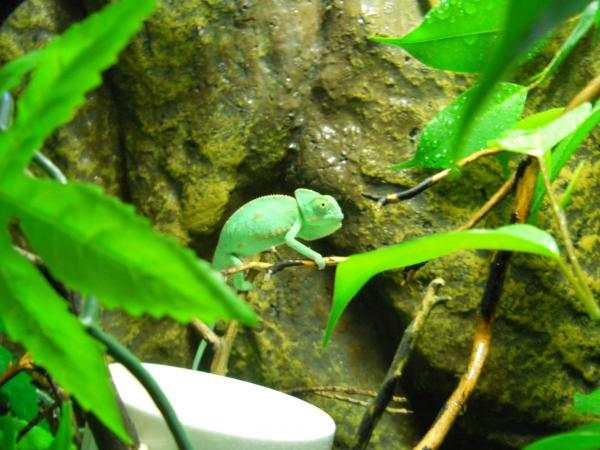 Time to eat, c'mon mom put in more grub