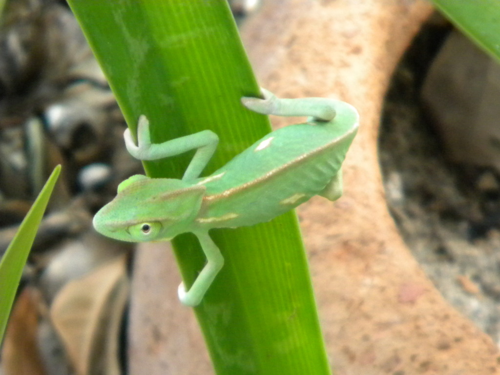 Tiny Photo For Photo Contest