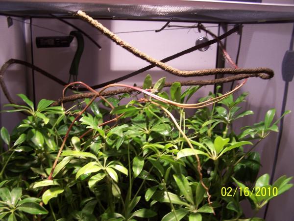 Top of enclosure