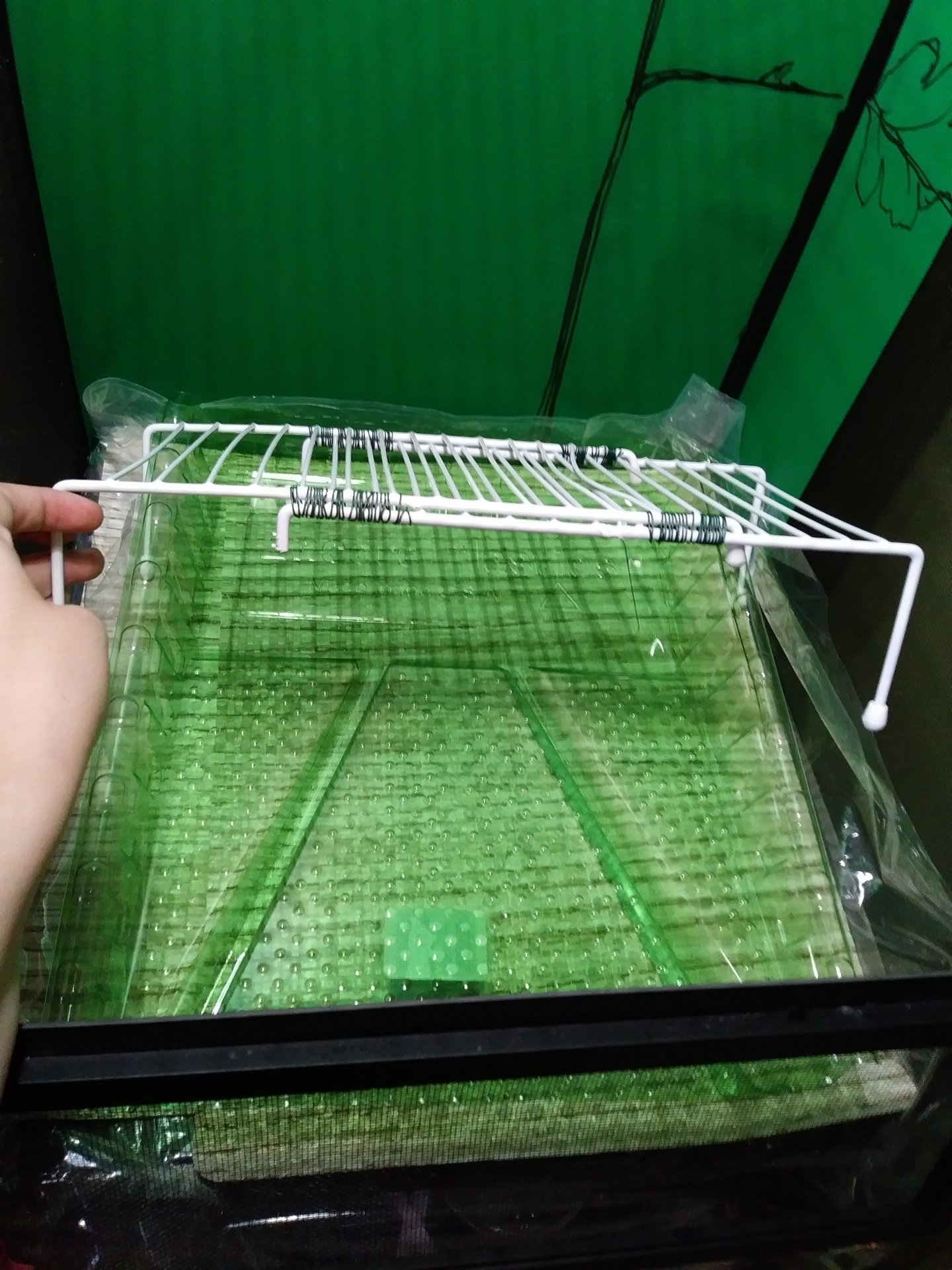 Tray and shelve above it