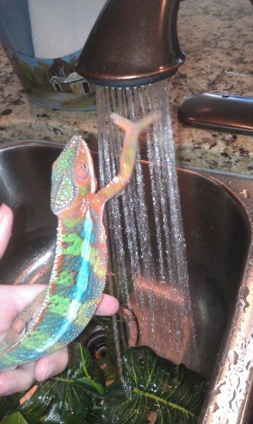 tried to grab the water!