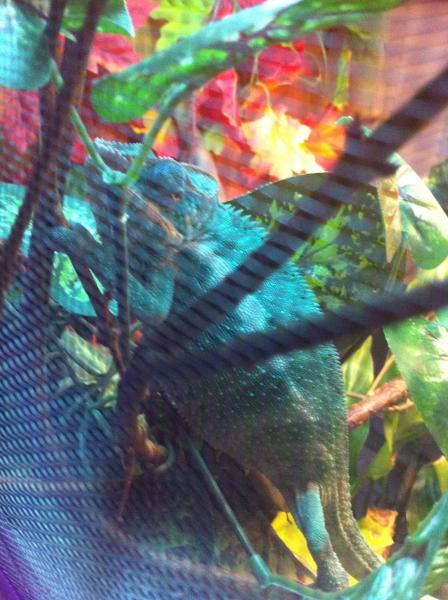 tryin to hide