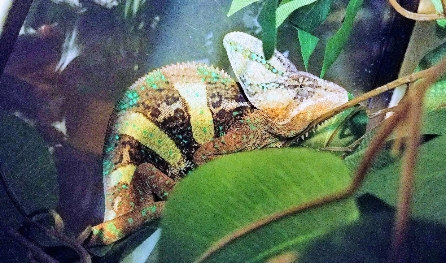 Trying to sleep here