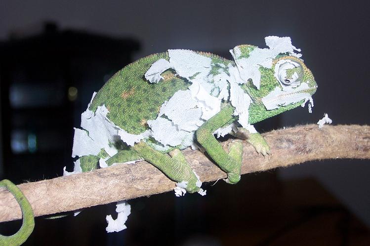 Turn off the camera....