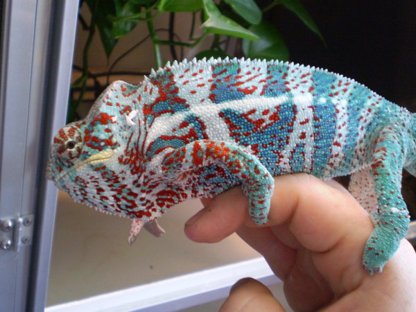 U Gotta See It To Believe It