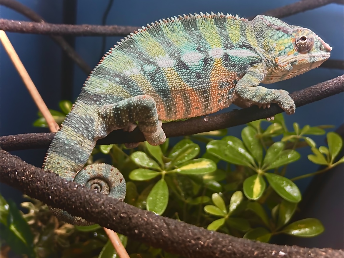 Unbothered at its finest