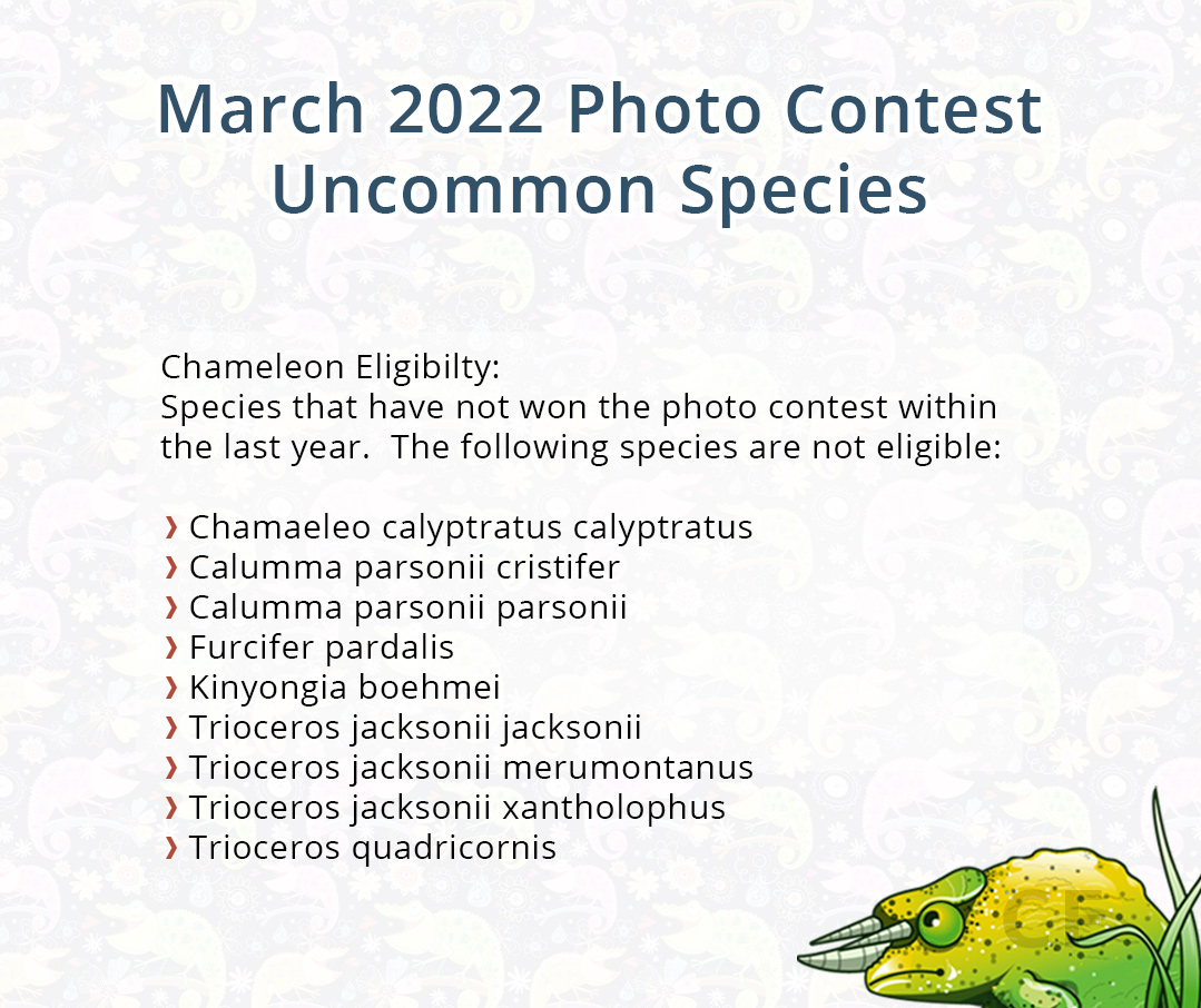 Uncommon Species