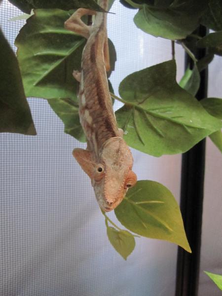 Ury the first day I got her.