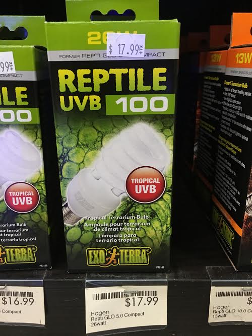 UVB Bulb