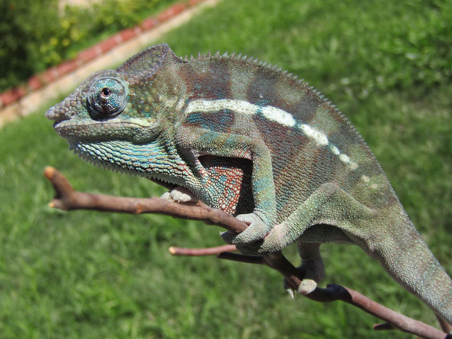 Very proud of these two boys