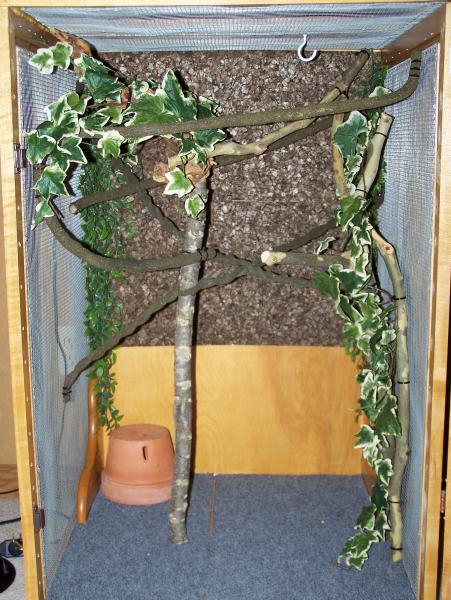 Vines, natural branches & cage carpet.