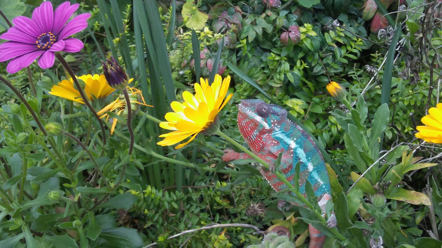 Waiting for spring