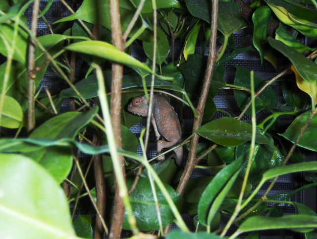 Walter - between 3 and 4 months