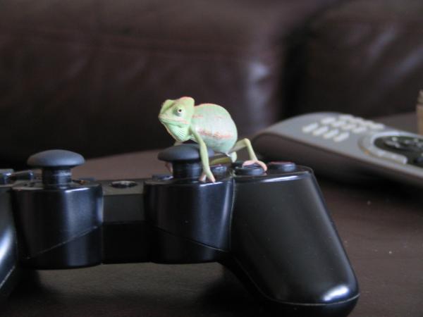 Walter playing PS3 again!