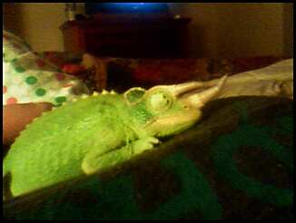 watching tv at night can make you sleepy!