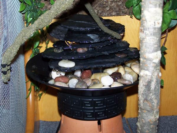 Water Fountain