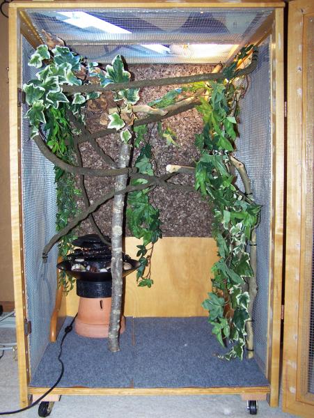 Waterfall, vines, natural branches & cage carpet.