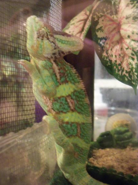 Weirdest place i've ever seen him sleep